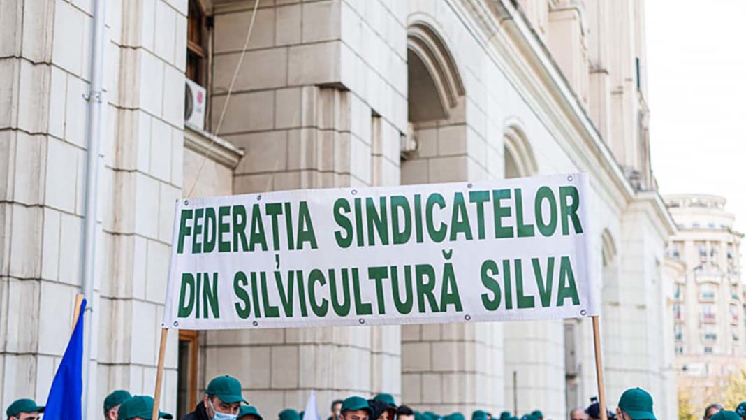 Sindicatele din silvicultură protestează în fața Guvernului