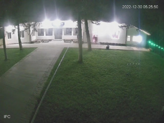 (VIDEO) Dolj: Patru persoane bănuite de tâlhărie și lipsire de libertate, reținute