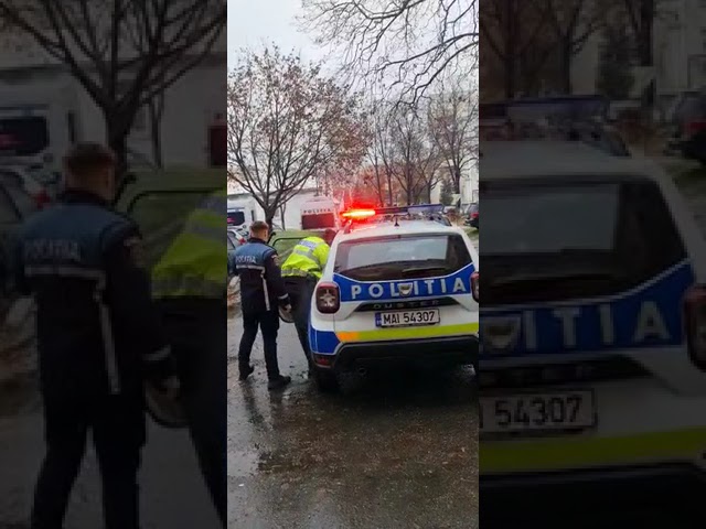 (VIDEO) Doljean reţinut pentru lovire şi distrugere