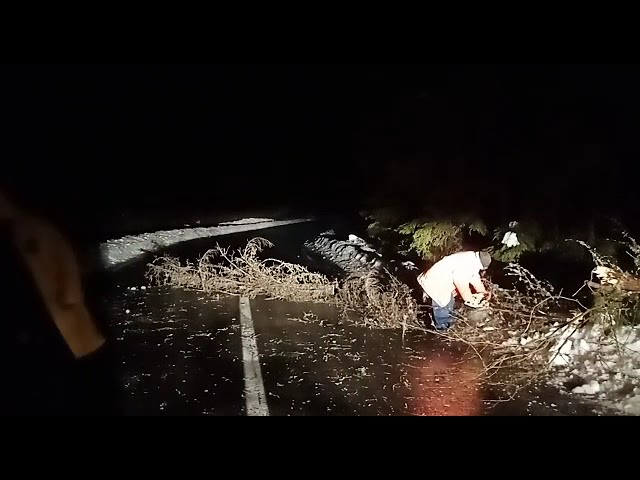 (VIDEO) DN 7A, blocat de mai mulți arbori rupți de vântul puternic