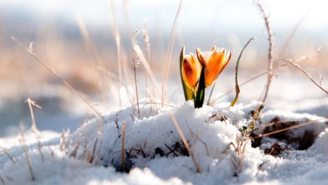 Cum va fi vremea până la jumătatea lunii februarie