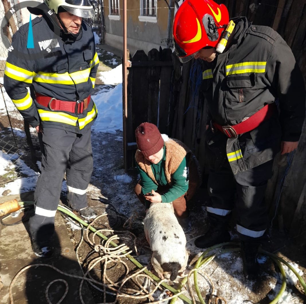 Îmbrățișarea puternică și bucuria de pe chipul femeii au transmis emoție în rândul salvatorilor