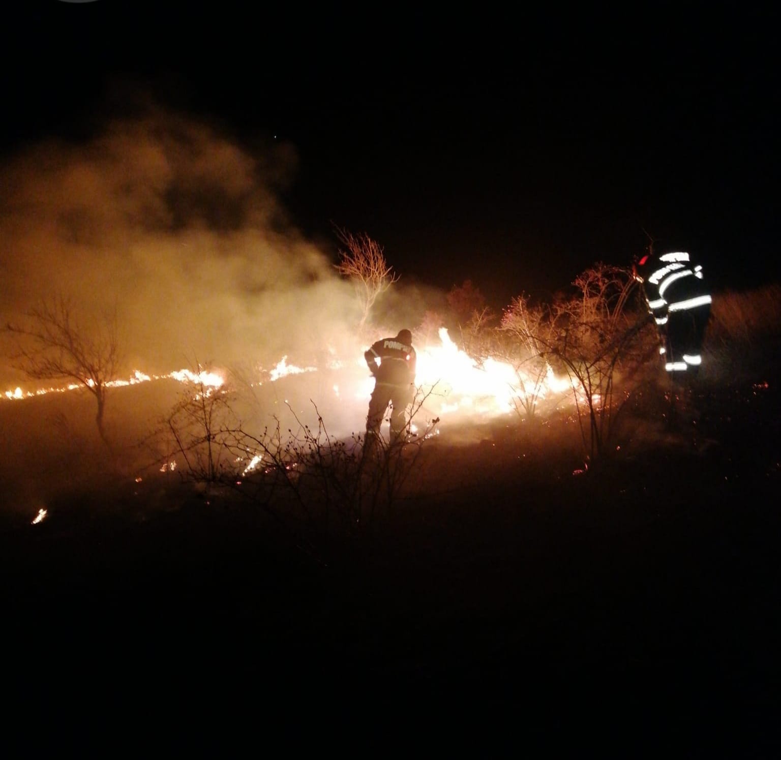 Flăcările au cuprins peste 14 hectare de vegetație uscată