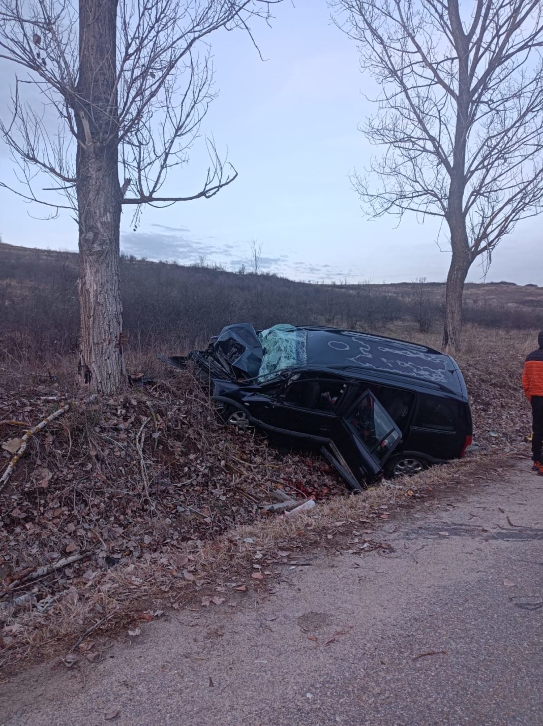 Dolj: Accident grav, cu doi morţi, la Gogoşu