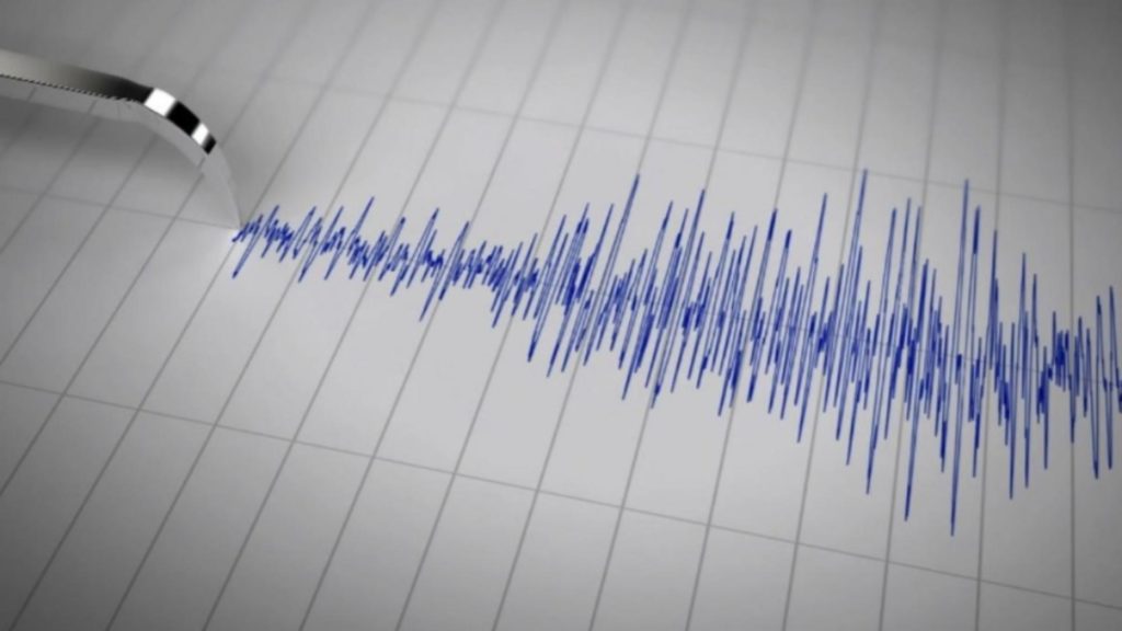 Cutremur de 3,2 grade Richter în Vrancea