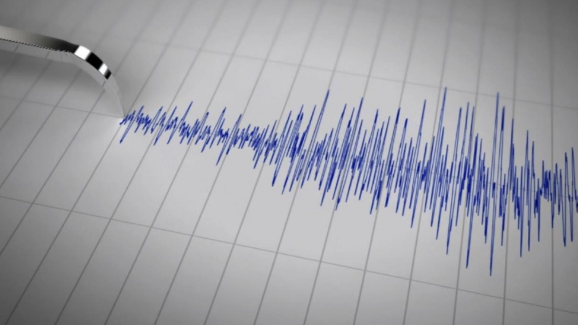 Cutremur 3,2 grade Richter în Vrancea