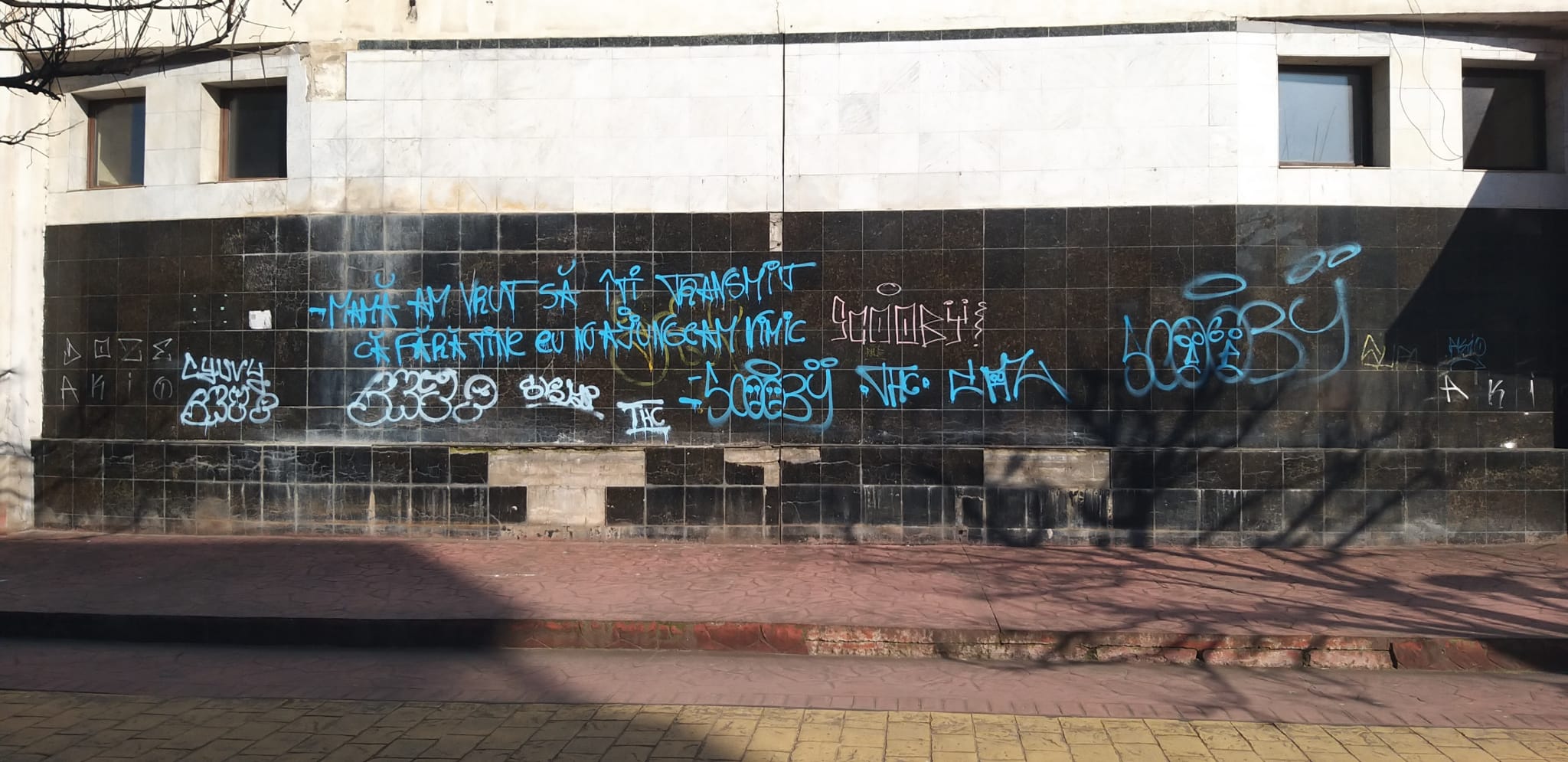 Sediul Direcției pentru Cultură Târgu Jiu, distrus de graffiti