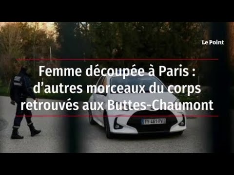 (VIDEO) Capul și părți din corpul unei femei, găsite în pungi de plastic, într-un parc din Paris