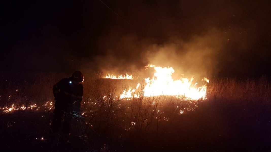 Incendiu de vegetație uscată la Stănești