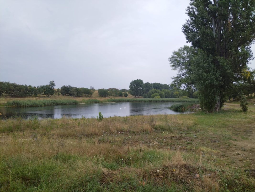 lacul tanchistilor6 (1) Megaafacerea „Proiectarea“