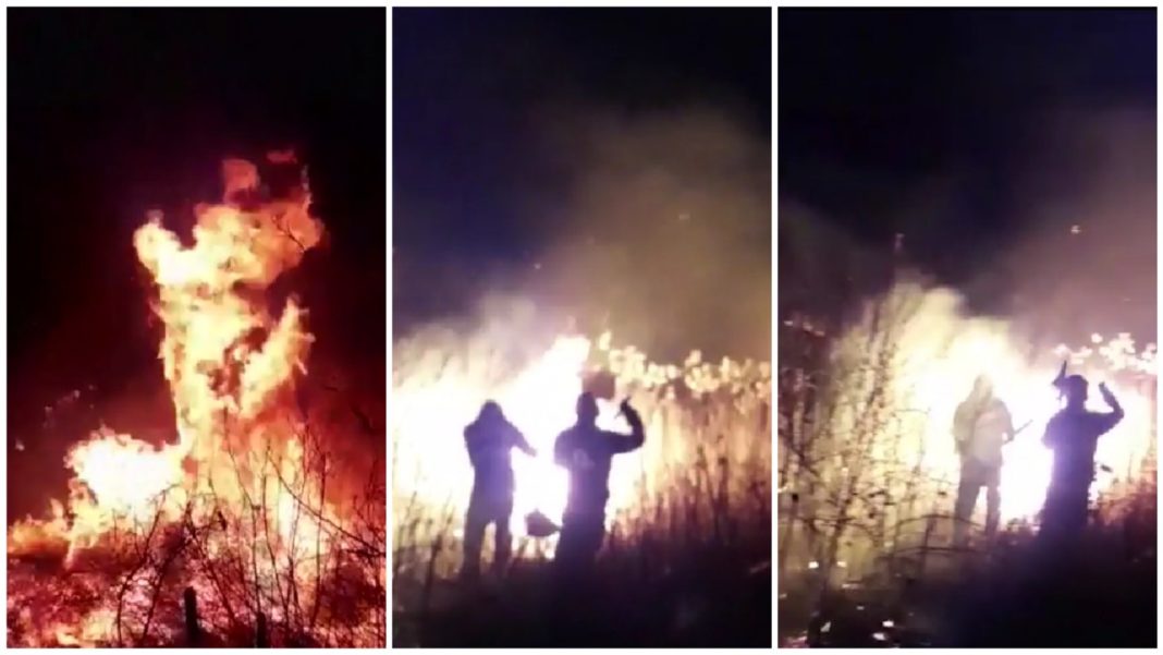 Incendiu de vegetație în Vâlcea. Flăcările s-au ridicat până aproape de firele de înaltă tensiune
