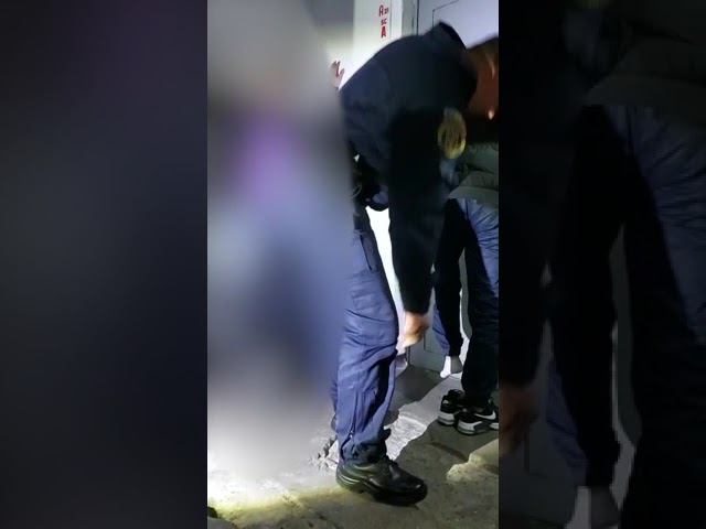 (VIDEO) Doi vâlceni, prinși cu iarba-n buzunare