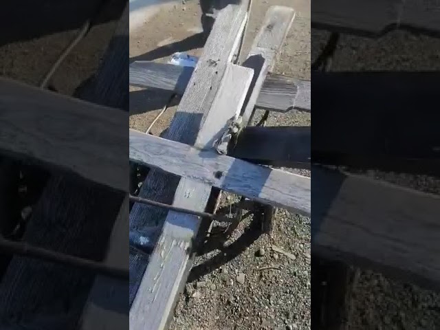 (VIDEO) Oltean cercetat pentru profanare de morminte