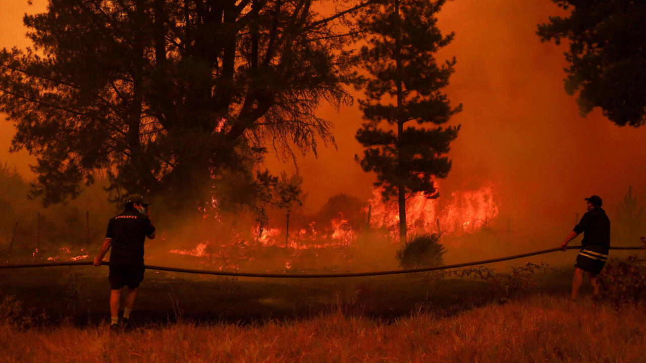 Incendiile au mistuit aproximativ 270.000 de hectare
