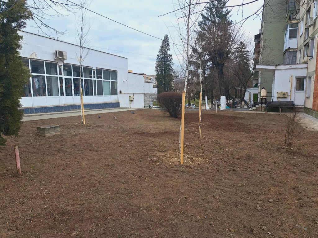 Râmnicu Vâlcea: Campania de plantări de arbori și arbuști în cartierul „1 Mai”