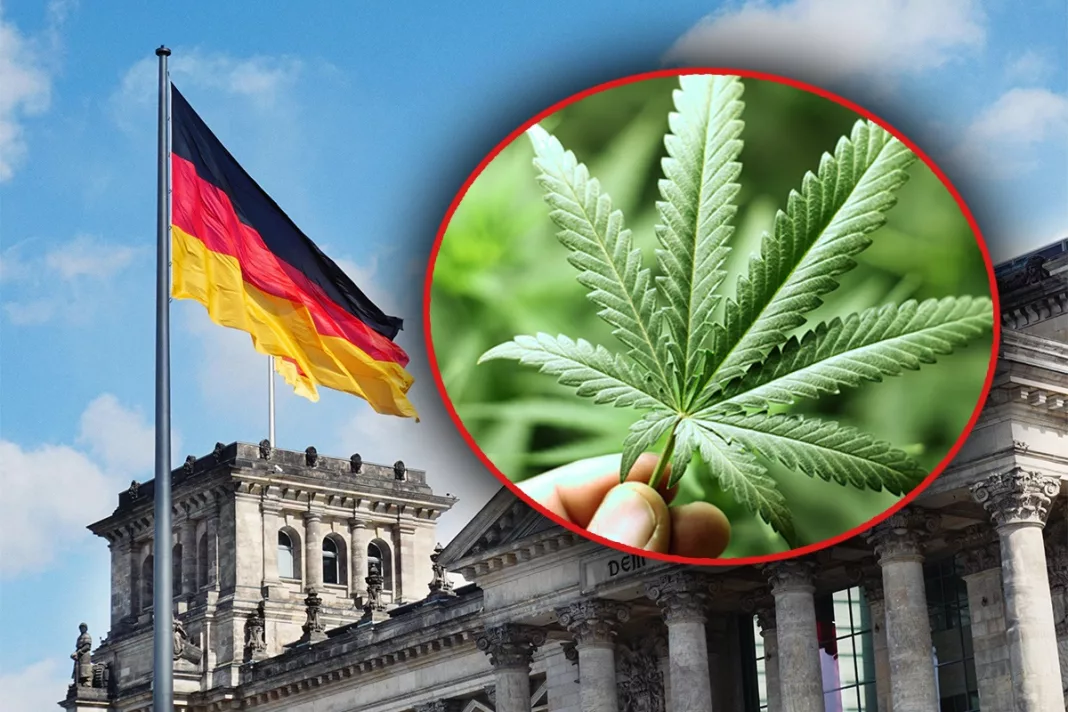 Germania, propunere pentru legalizarea canabisului