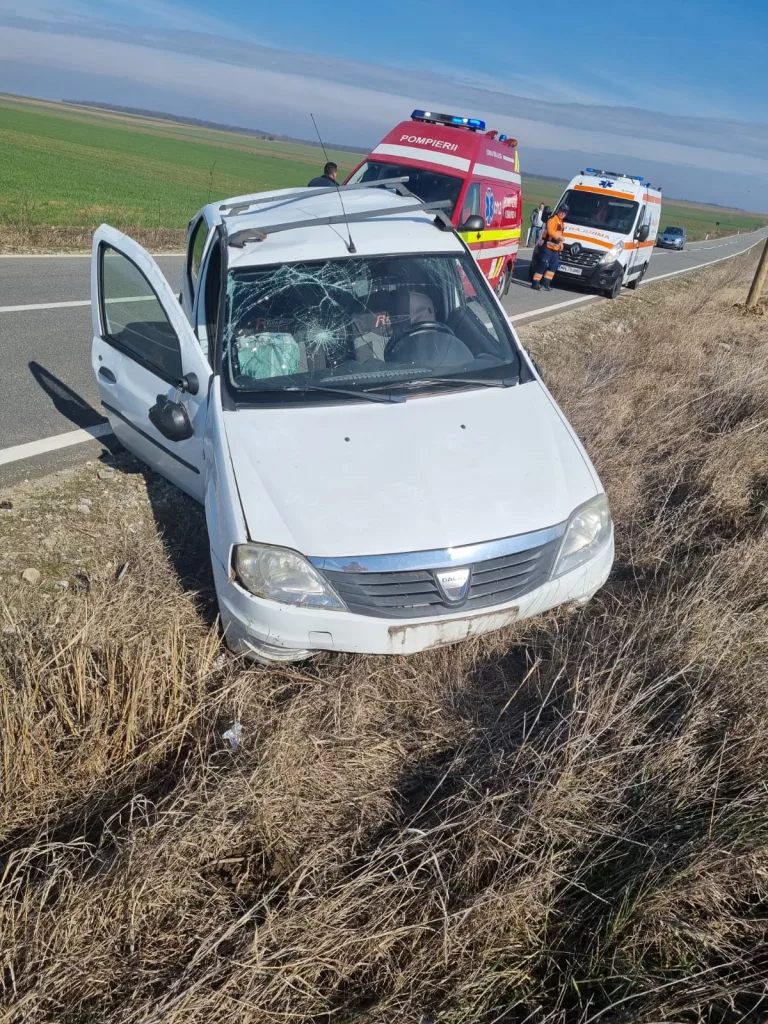 Mehedinți: Doi răniți după ce o mașină a ieșit în decor