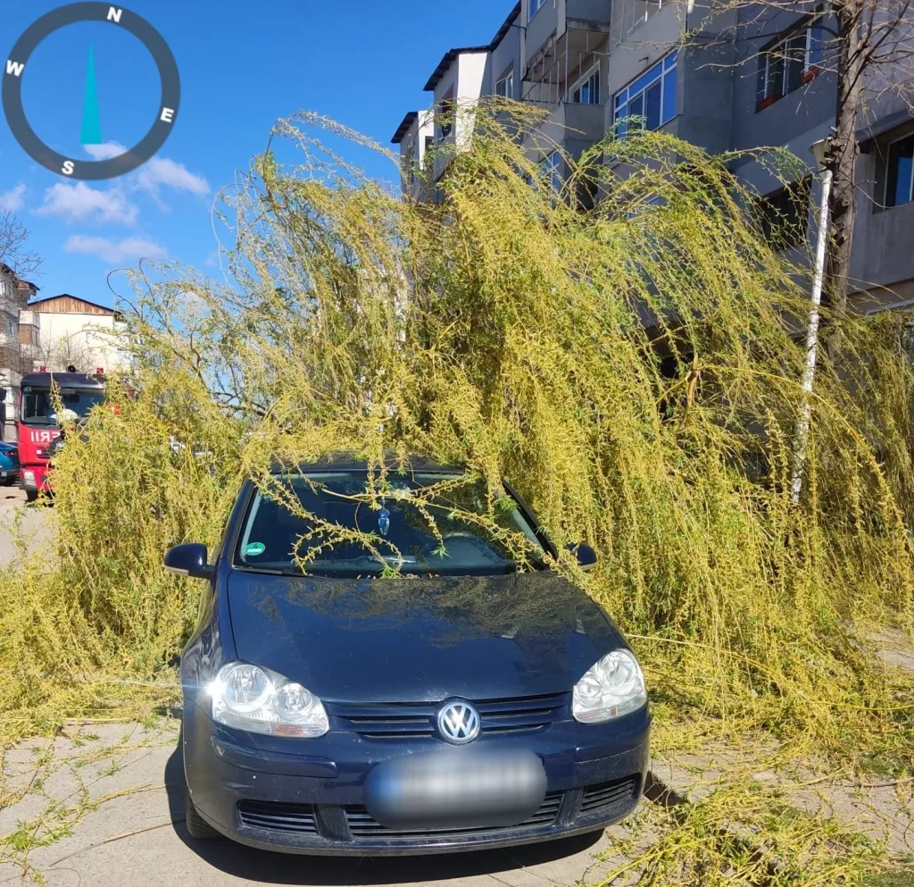 Copac căzut pe o maşină în Drobeta Turnu Severin