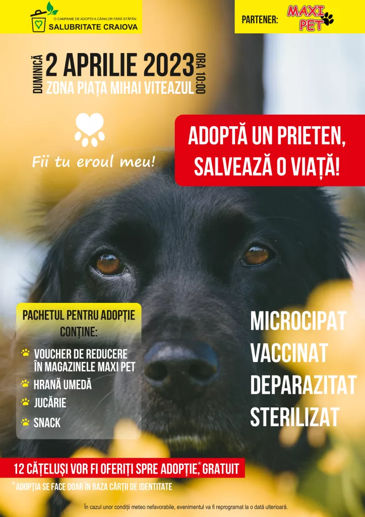 Târg de adopții canine la Craiova
