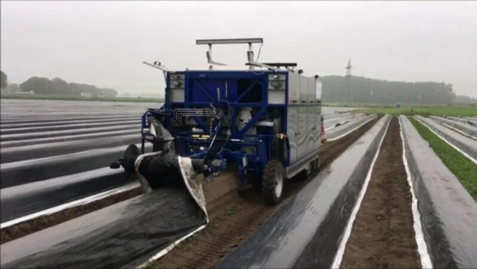 Un muncitor român care dormea pe un câmp de sparanghel a fost lovit de o secerătoare