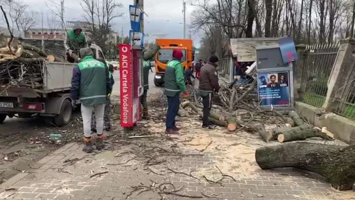 Copac doborât de vânt pe o staţie de tramvai