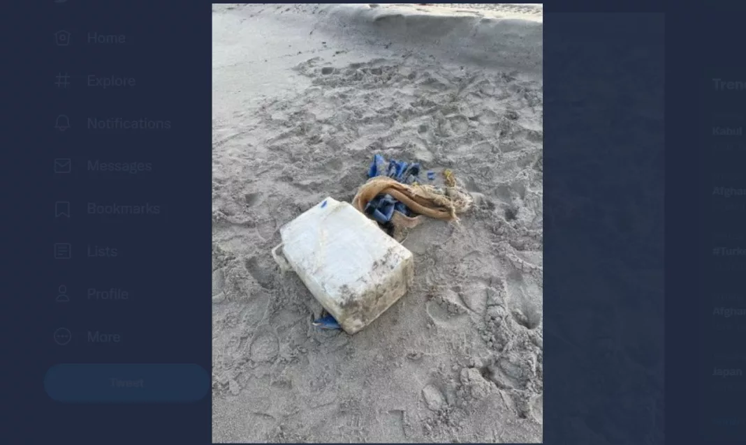 Peste 2 tone de cocaină, descoperite pe coasta franceză