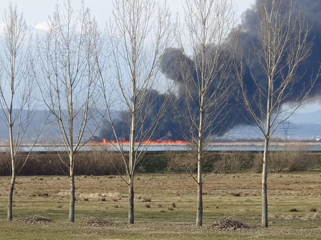 Vâlcea: Incendiu de vegetație pe o insulă din Băbeni