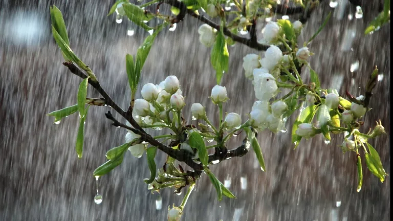 Vremea se răcește, vin ploi și ninsori