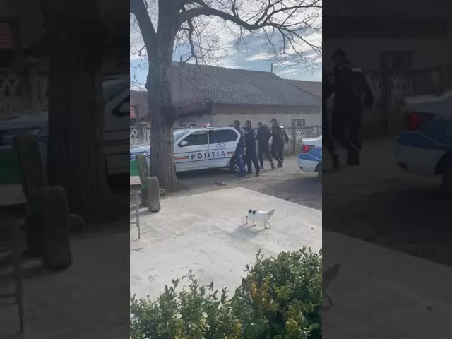 Doi mehedințeni au fost reținuți după ce au furat de la o consăteană