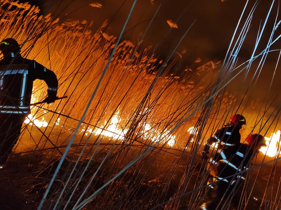 Incendiu de vegetaţie în comuna tulceană Murighiol