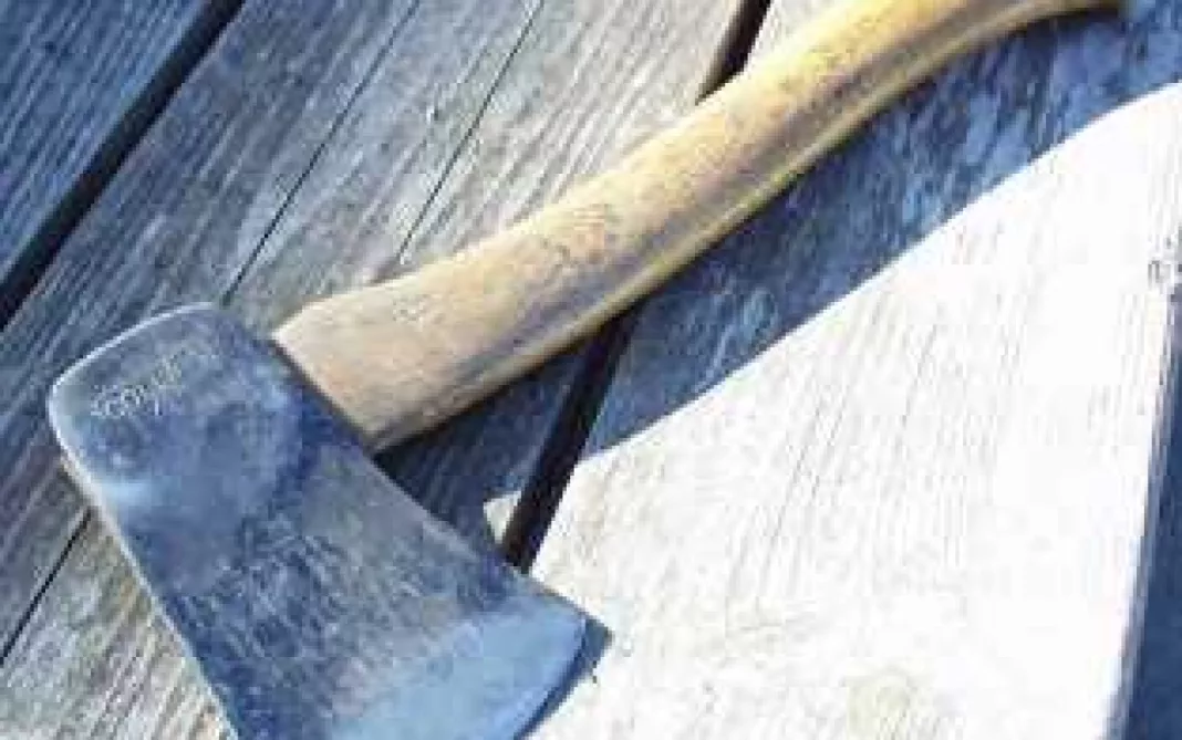 Vâlcean arestat după ce și-a lovit concubina cu toporul în cap