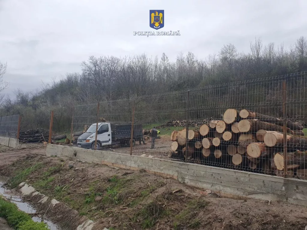 Peste 150 mc de lemne, confiscate în Dolj
