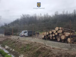 A fost dispusă confiscarea a peste 150 mc de lemne