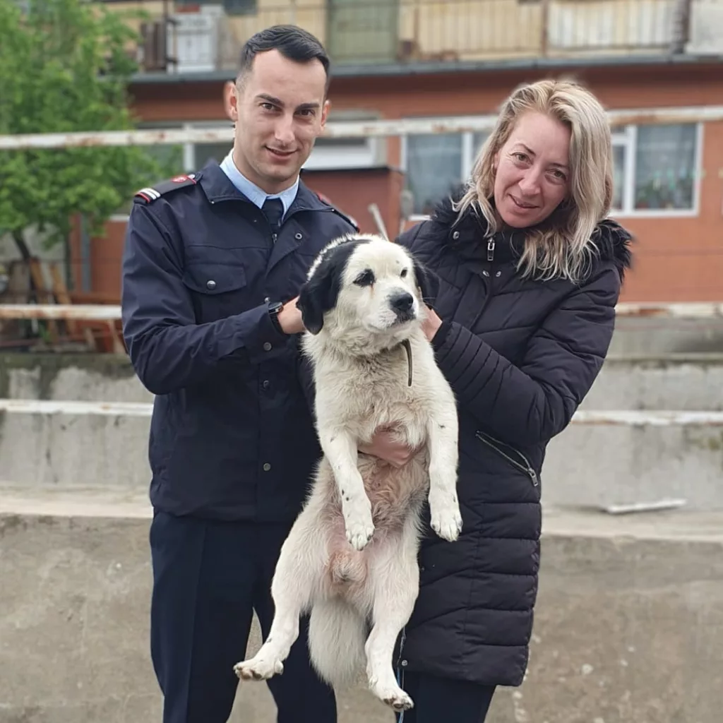 (VIDEO) Un pompier mehedințean a salvat un cățel de la înec