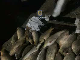 Poliţiştii au indiponibilizat 180 de kg de peşte