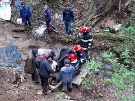 Pompierii vâlcenii au salvat o bovină căzută într-o prăpastie râpă în localitatea Vaideeni, sat Cerna