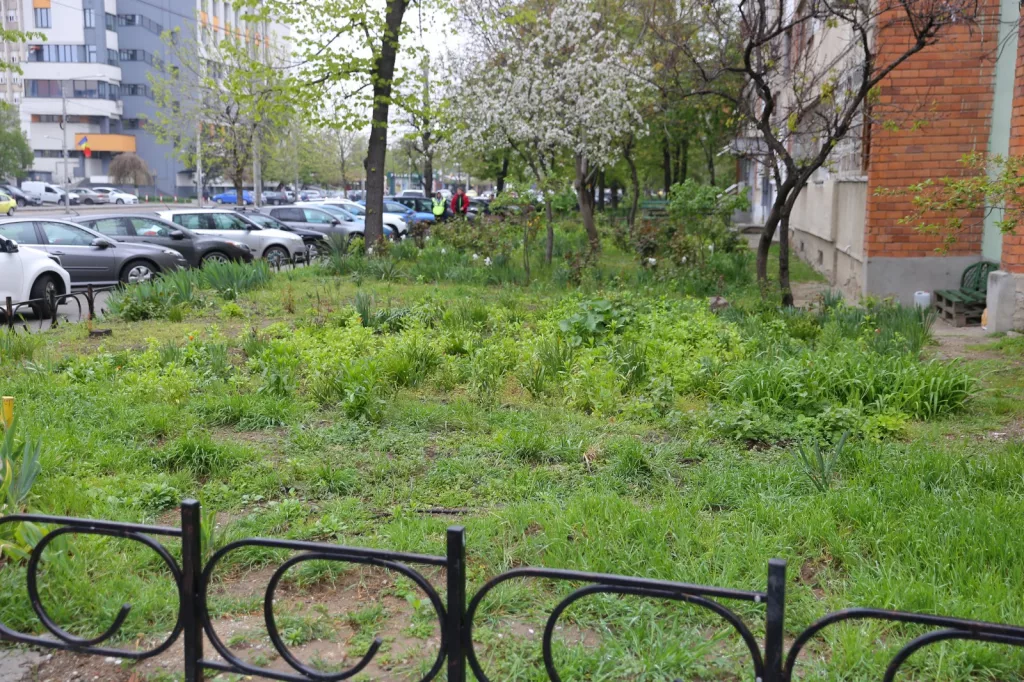 Atenţie ce plantaţi în grădina blocului!