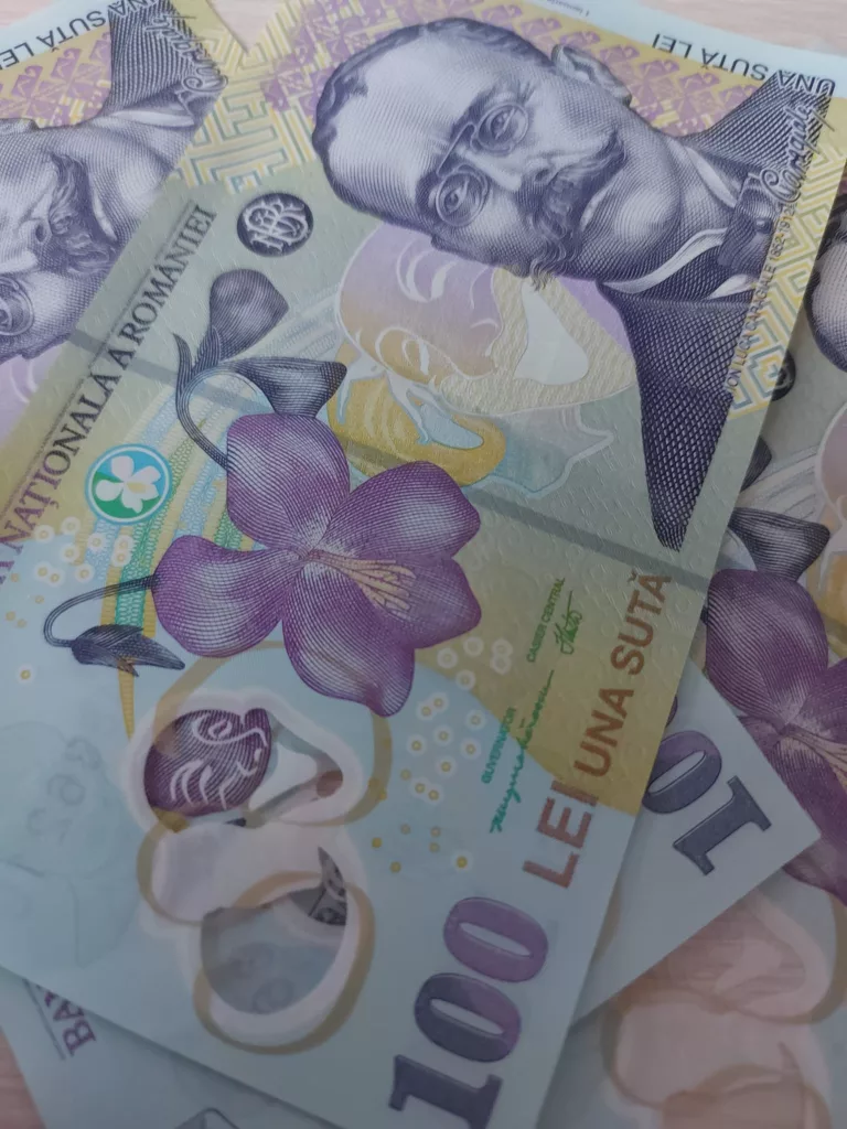 Un deputat propune ca statul să plătească dobânzi și penalități cetățenilor