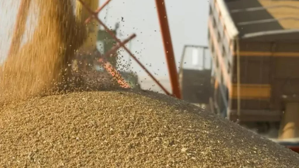 România va sigila cerealele din Ucraina pe perioada tranzitării țării