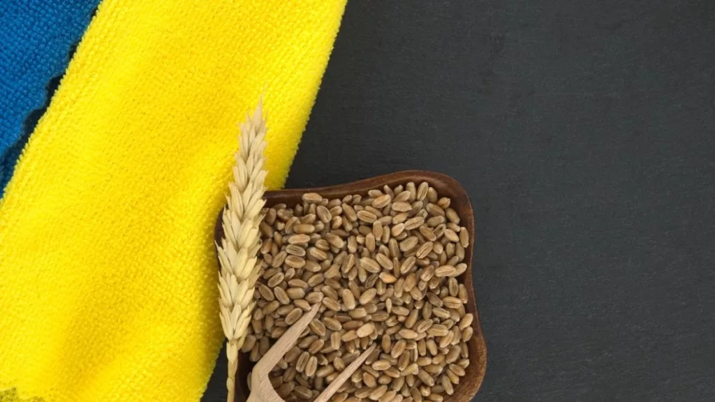 PSD va cere suspendarea importurilor de produse agroalimentare din Ucraina