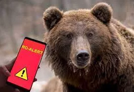 Prezența unui urs semnalată prin RO-ALERT
