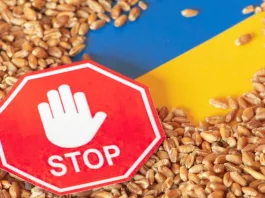 Bulgaria interzice importurile de cereale din Ucraina
