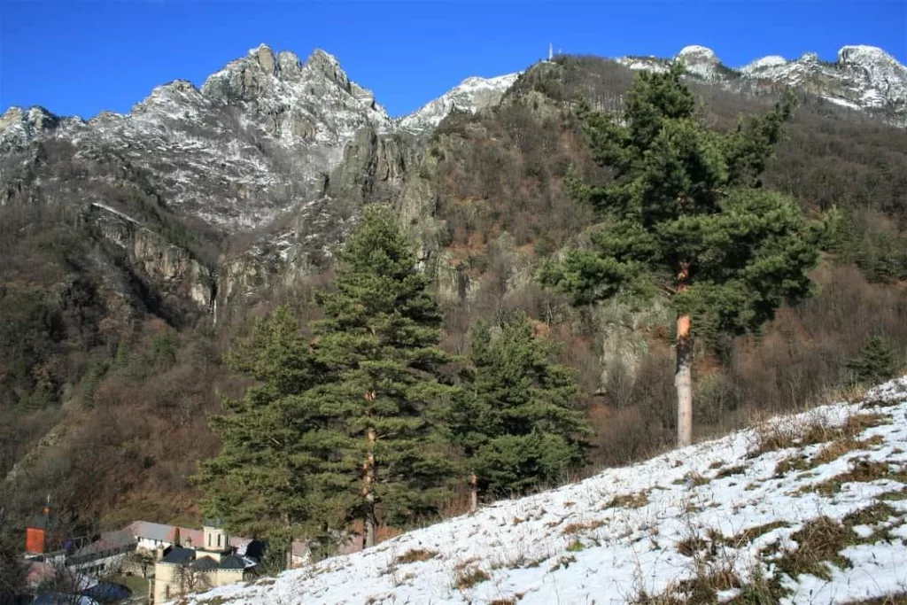 Ediţia a XI-a a Cozia Mountain Run