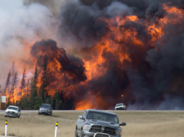 Stare de urgenţă în provincia canadiană Alberta din cauza incendiilor de vegetaţie