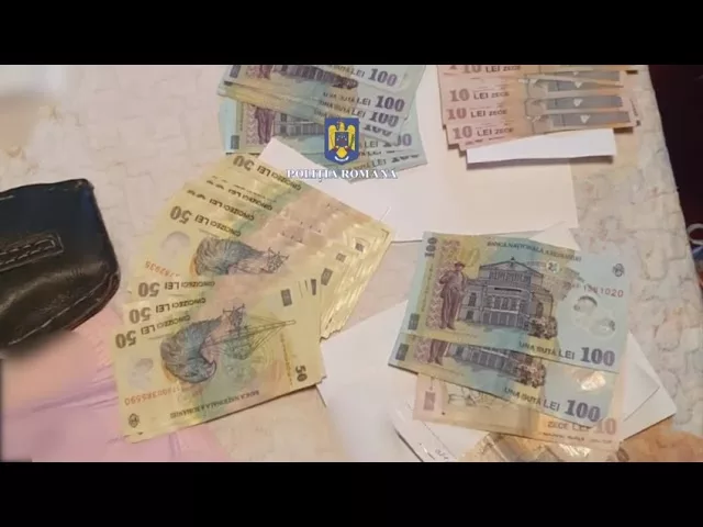 (VIDEO) Pădurari și transportatori din Gorj, anchetați pentru infracțiuni silvice