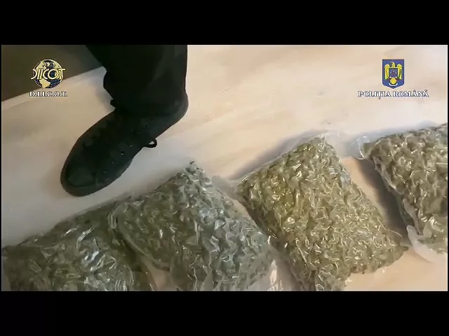 (VIDEO) Trei bărbați, reținuți pentru trafic de droguri de mare risc