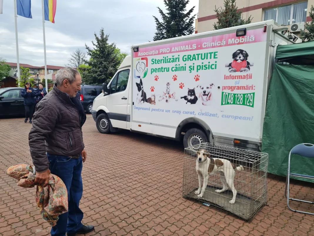 Sterilizări gratuite de câini și pisici, la Motru