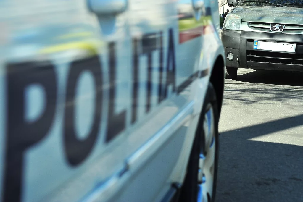 Tânăr din Rovinari, arestat preventiv pentru violență în familie