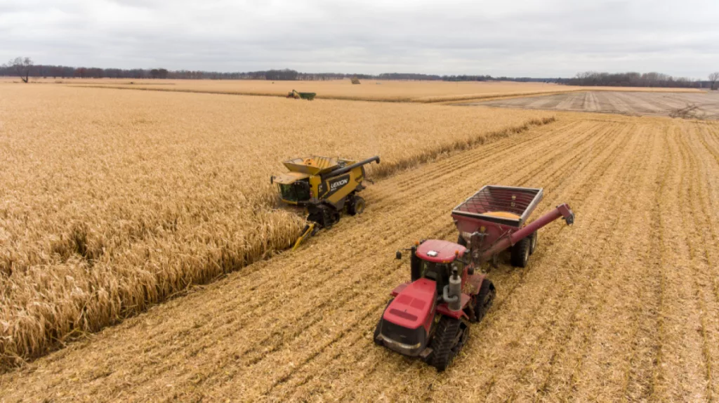 Sprijin financiar de peste 99,2milioane lei pentru producătorii agricoli din sectorul cereale
