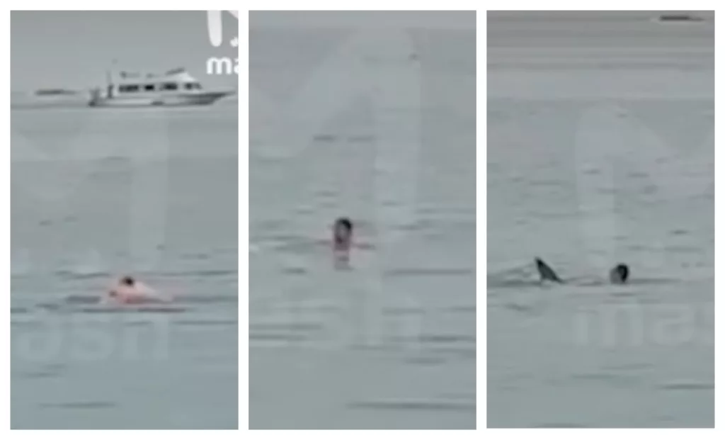 Un tânăr rus a fost mâncat de un rechin în Marea Roșie. Iubita lui a scăpat cu viață